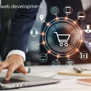 Custom E-commerce Website Development
