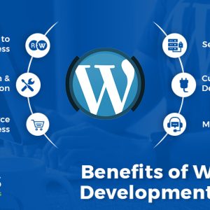 News Portal Development Service